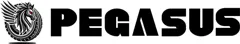 Pegasus